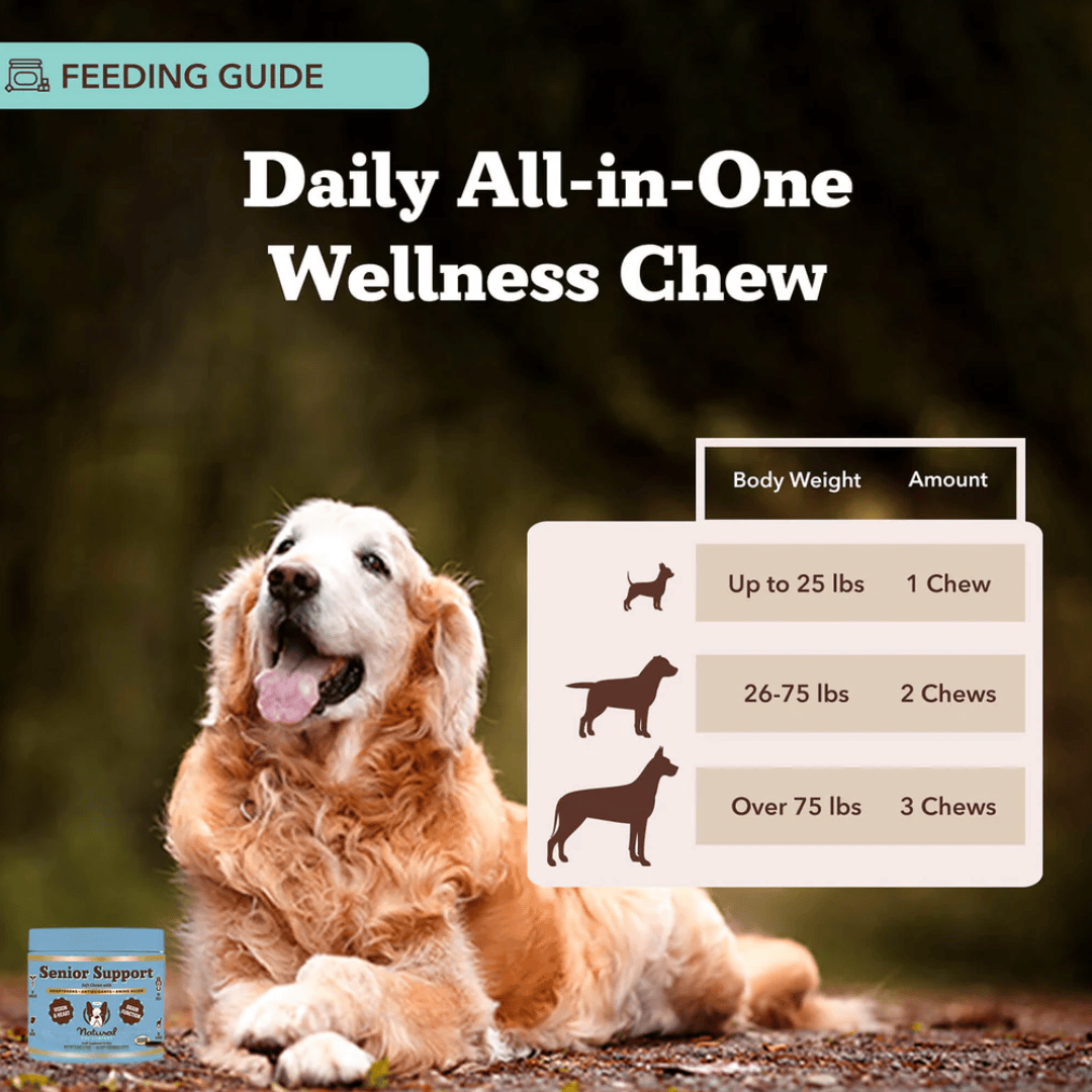 Natural Dog Company Senior Support Chews