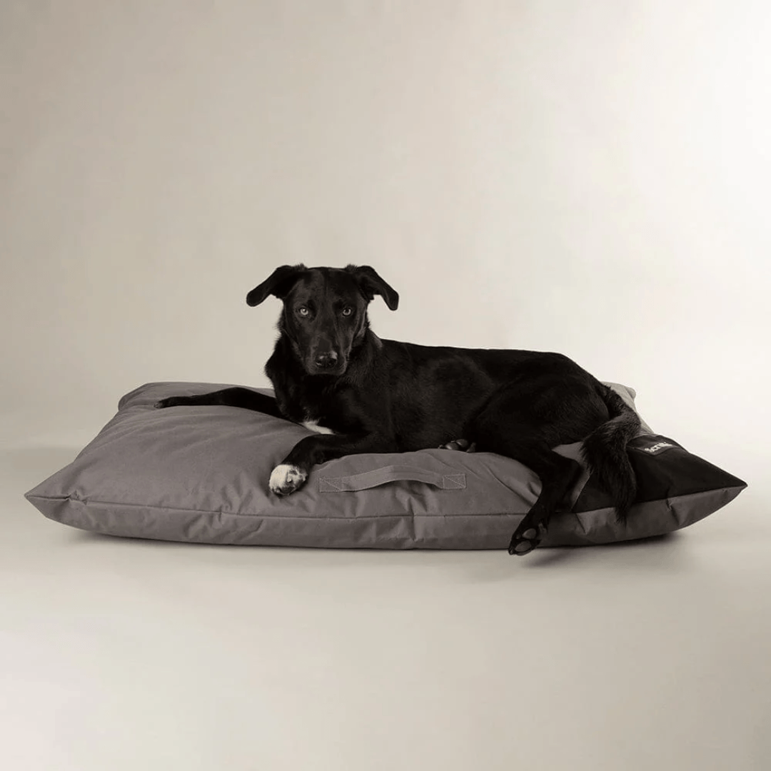 Black dog lying on a grey Scruffs Expedition Orthopaedic Pillow for Dogs against a plain background