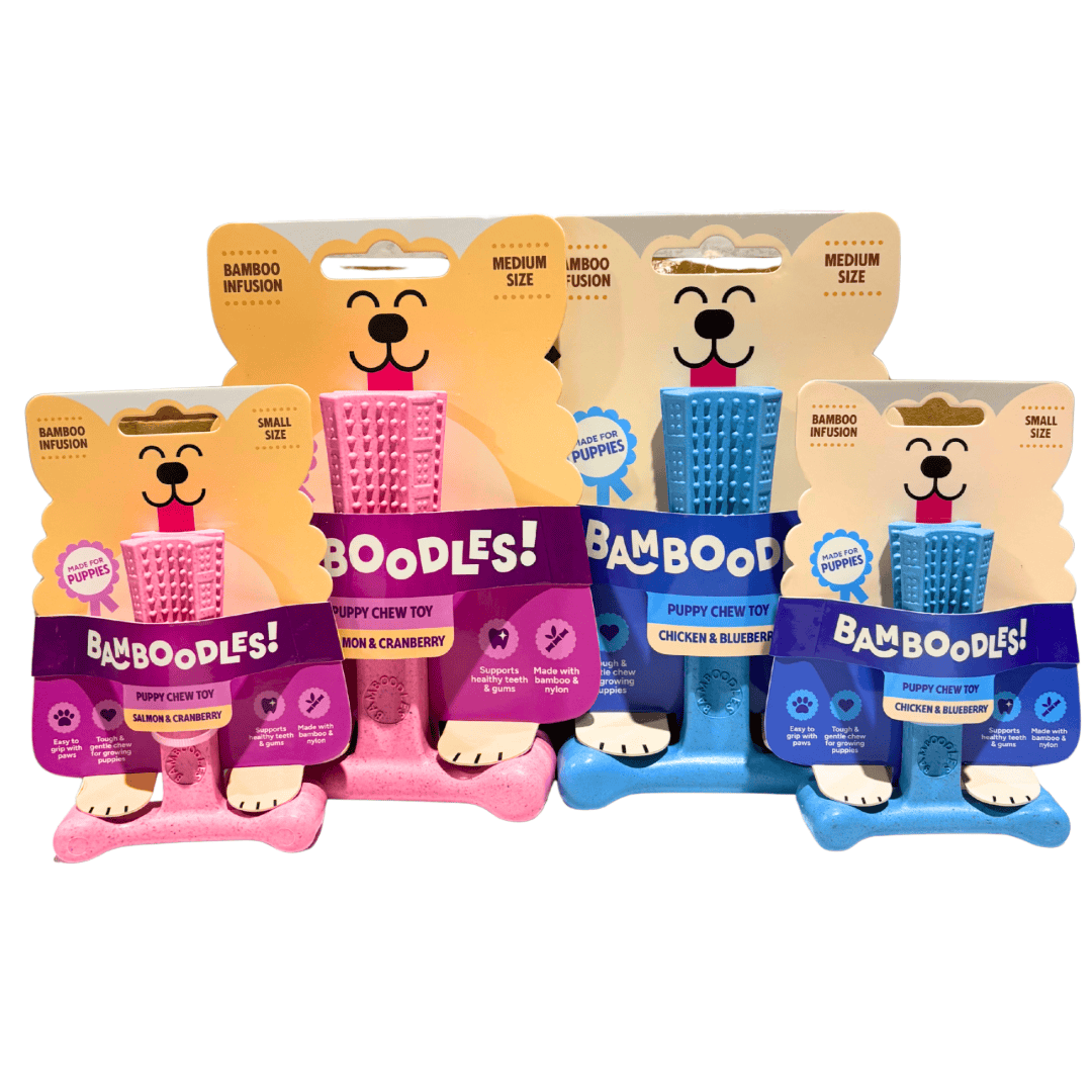 Bamboodles T-Bone Puppy Chew - Chicken & Blueberry