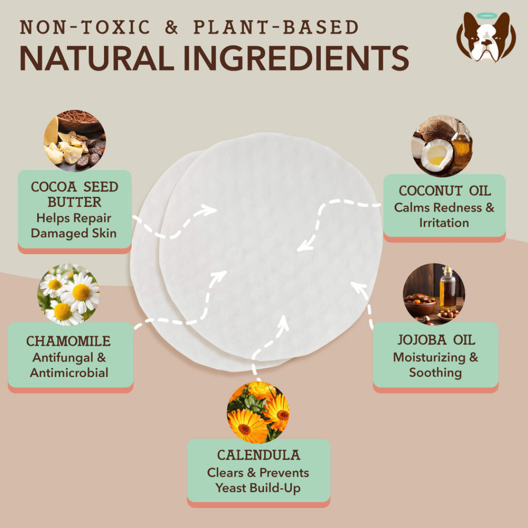 Product infographic for the Natural Dog Company Paw Wipes with natural ingredients and their benefits on a beige background