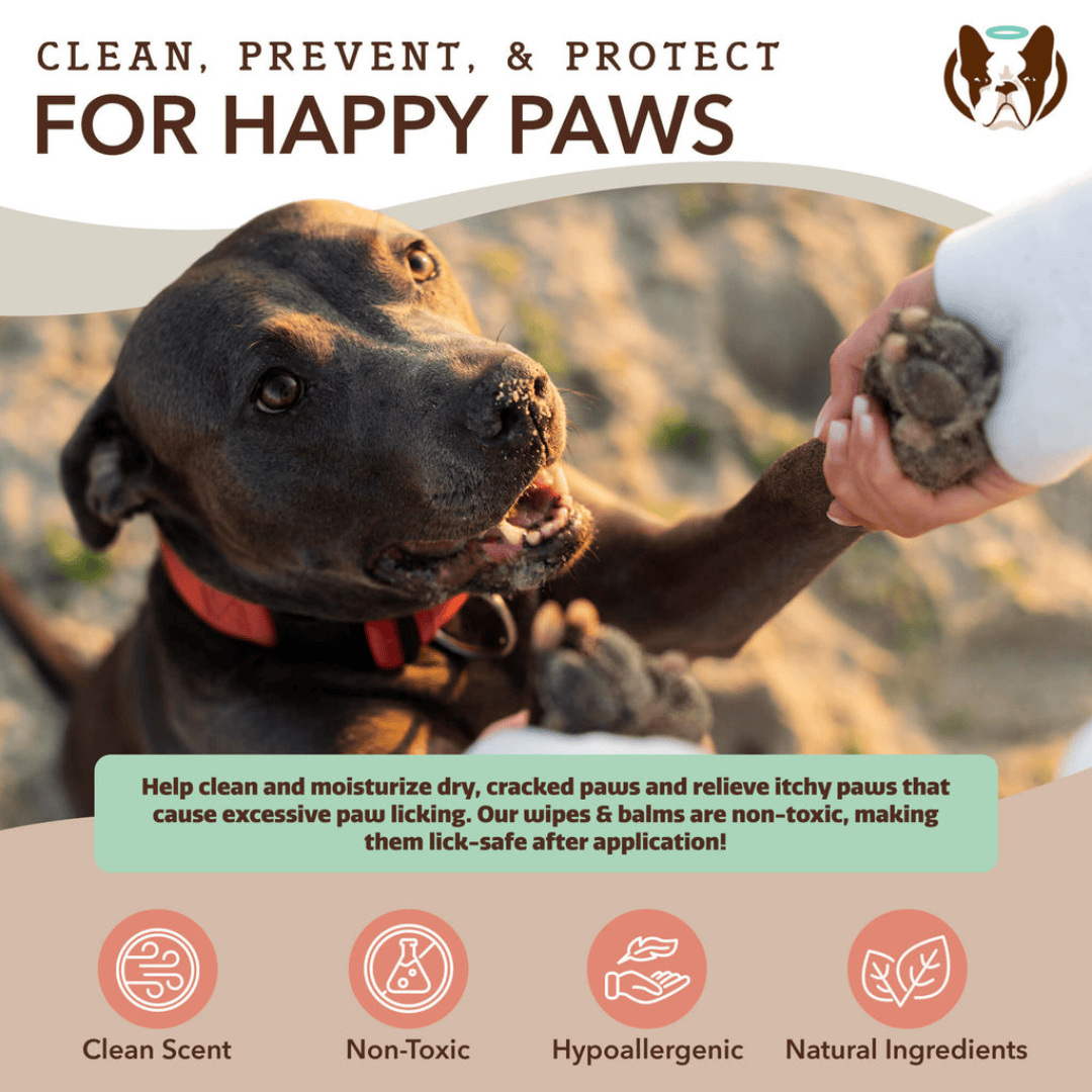 Dog with a paw being held, promoting paw care products with text and icons.