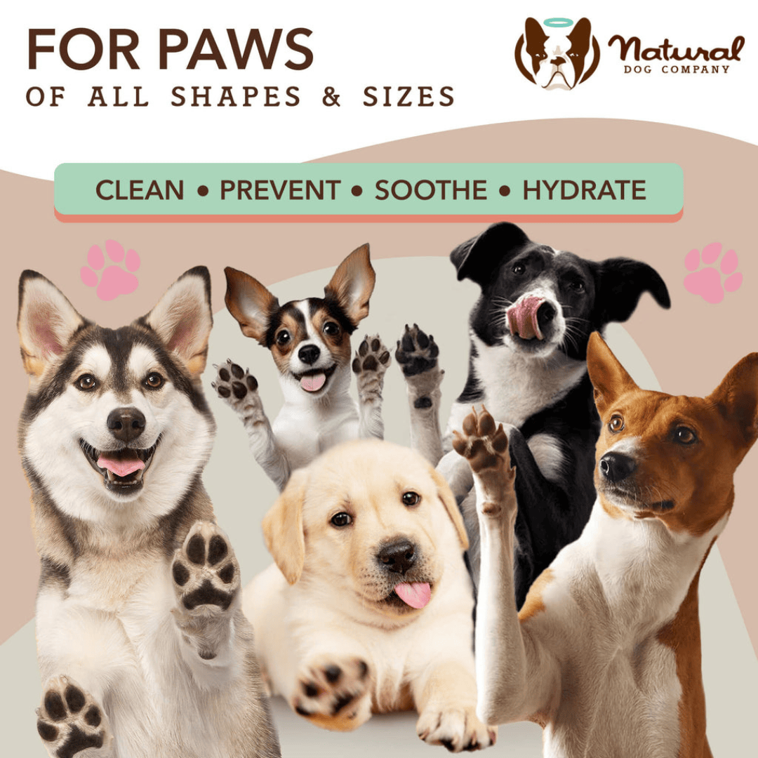 Natural Dog Company Paw Soother Wipes