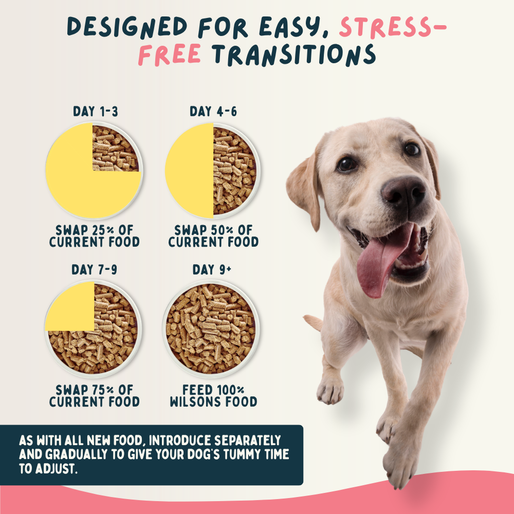 Wilsons Beef Cold Pressed Dog Food 15kg