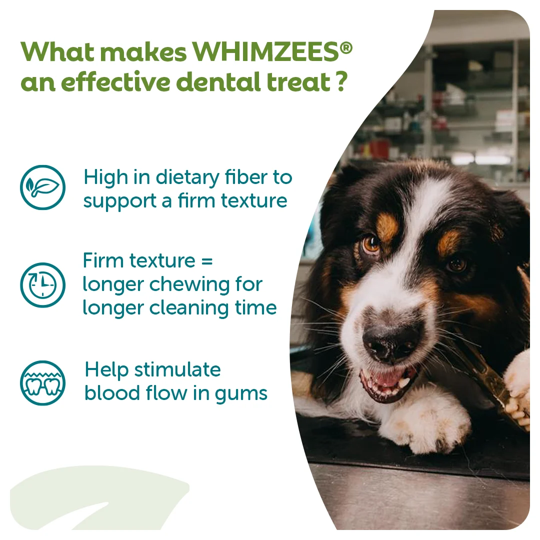 Whimzees Dental Stick