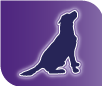 Yucalm Tablets for Dogs