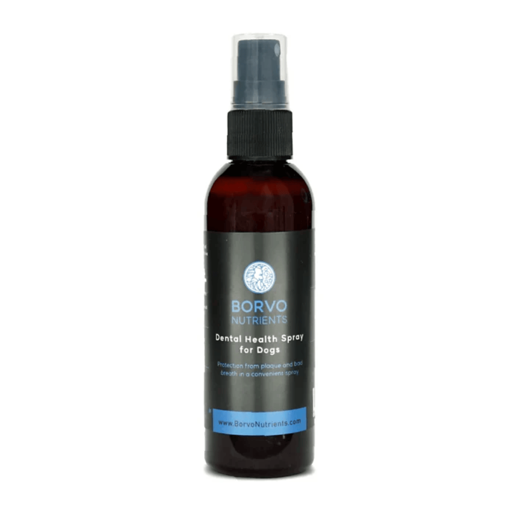 Borvo Nutrients Dental Health Spray 100ml against a white background.