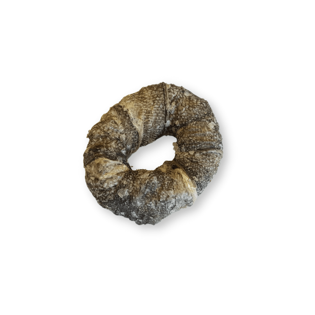 Dried cod skin ring against a white background