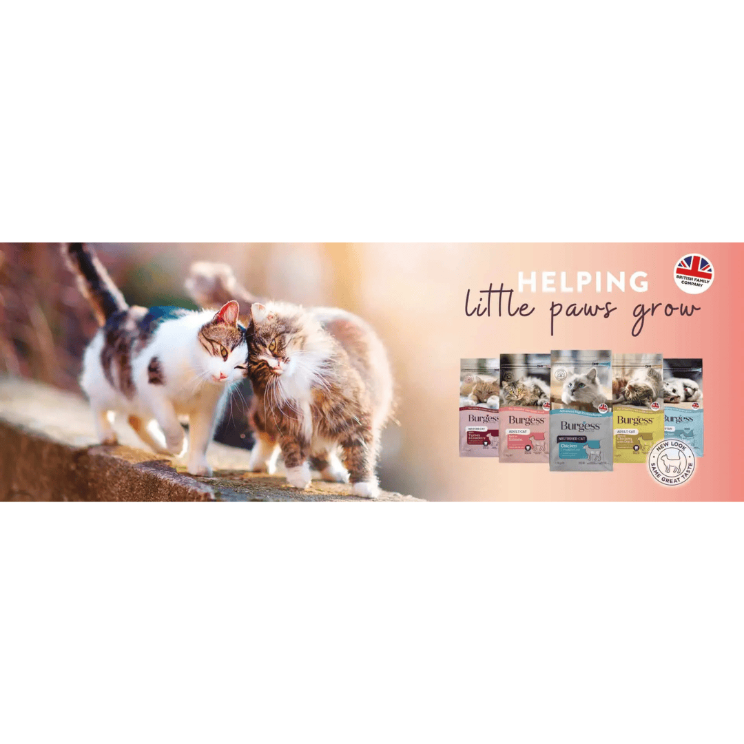 An infographic by Burgess with two cats and the phrase "Helping little paw grow". The Cat range is all on display too