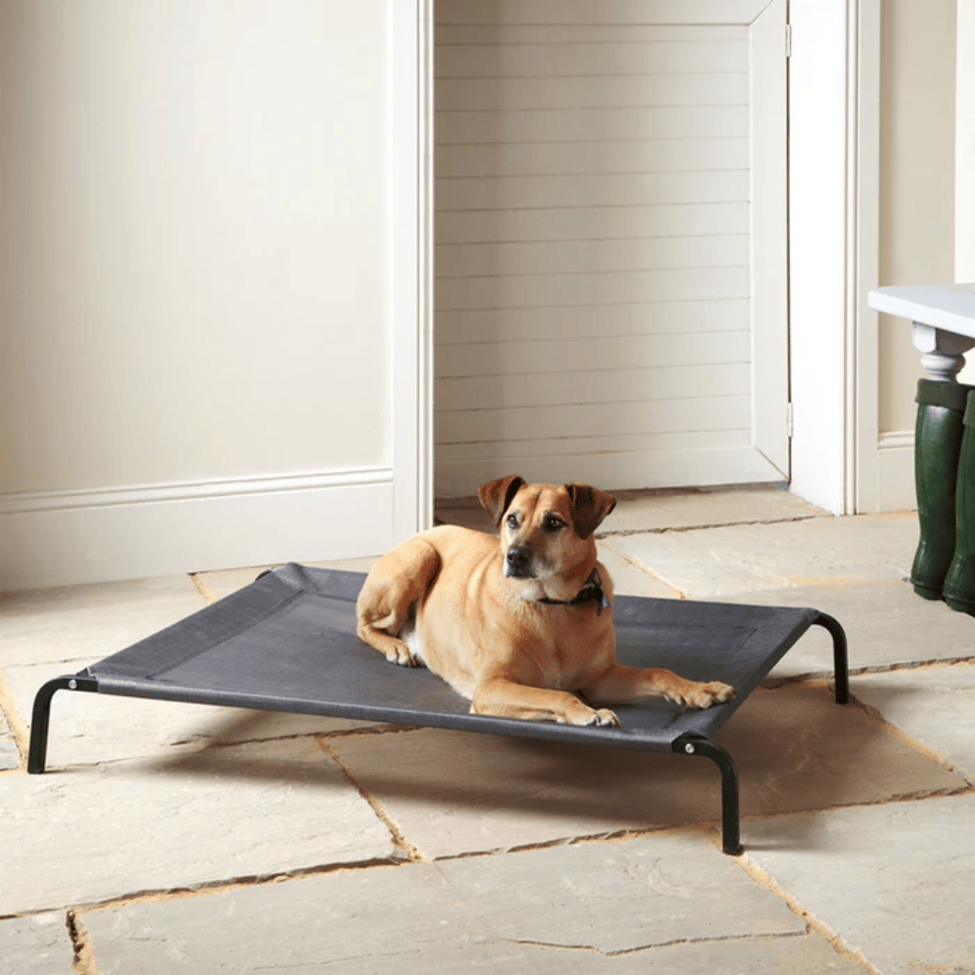 Elevated Dog Bed