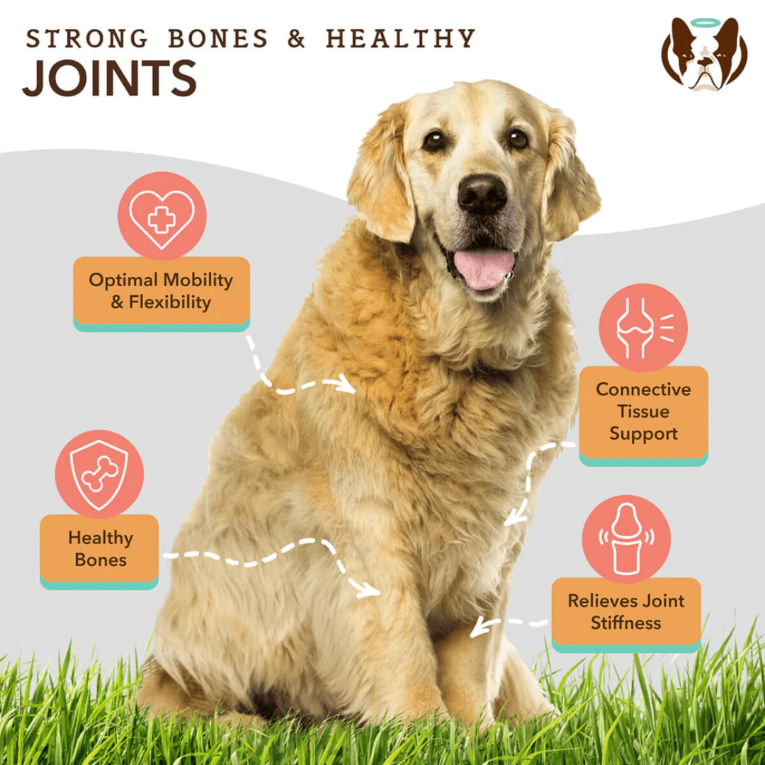 The key benefits of Natural Dog Company Liquid Glucosamine.