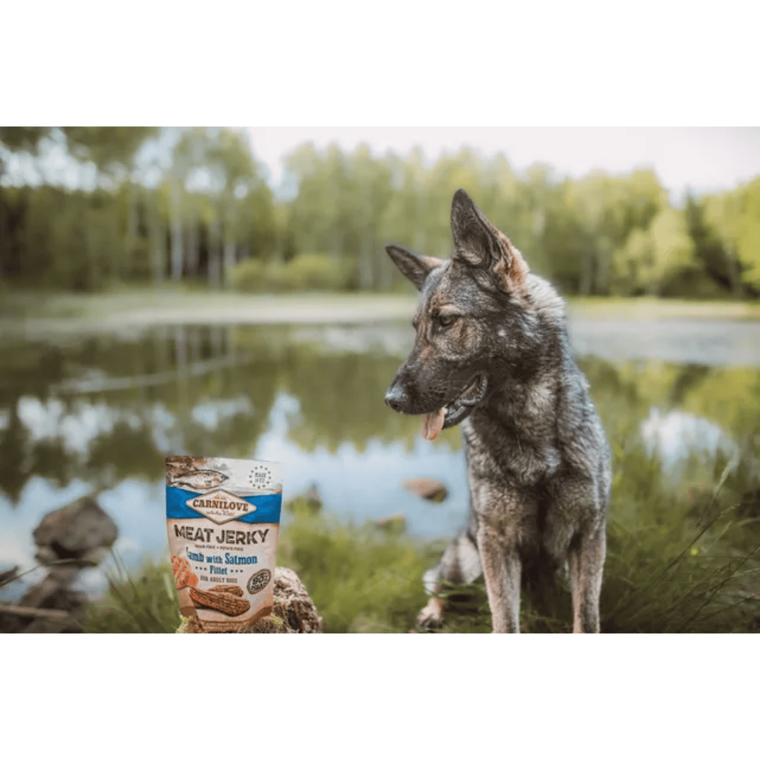 A German Shepherd dog posing beside a packet of Carnilove Lamb with Salmon jerky dog treats. There is a lake and trees in the background.