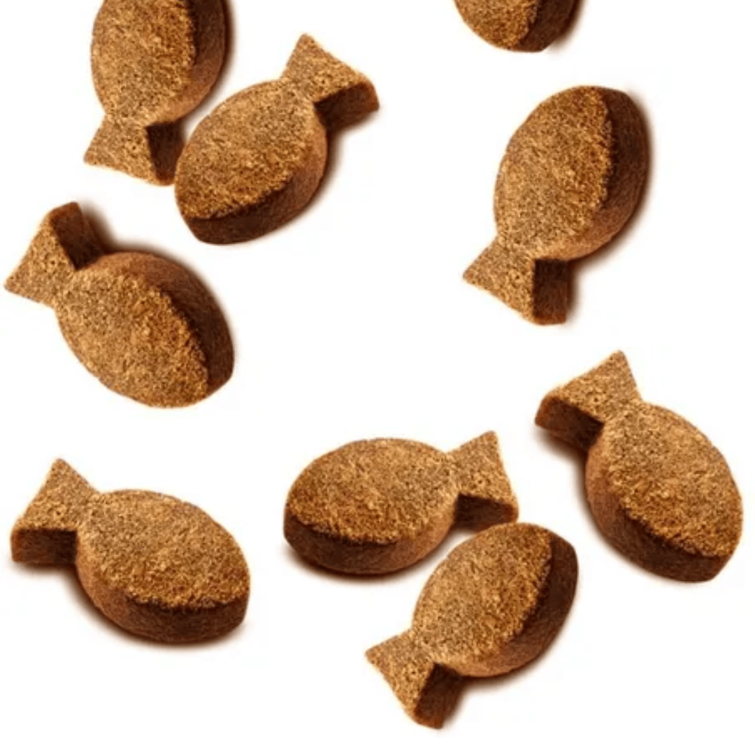 The Carnilove Quail with Oregano soft snacks are a fish shape. They are spread out on a white background.