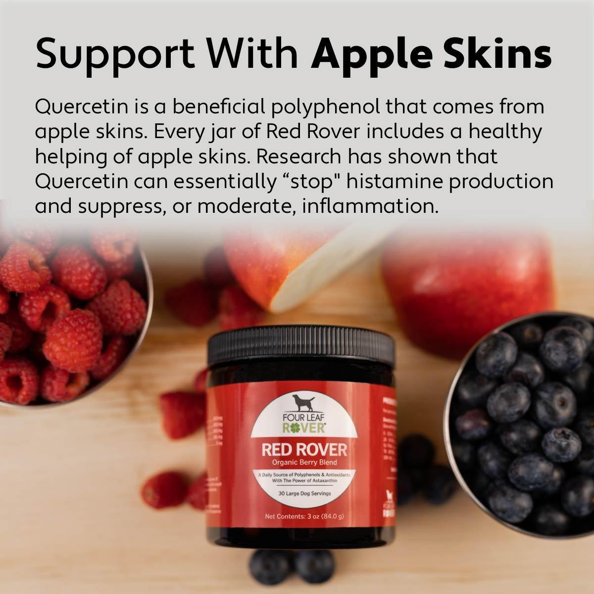 An infographic provided by Four Leaf Rover Explaining the benefits of apple skins in a dogs diets. Images of Four Leaf Rover - Red Rover and fresh apples, blueberries and raspberries