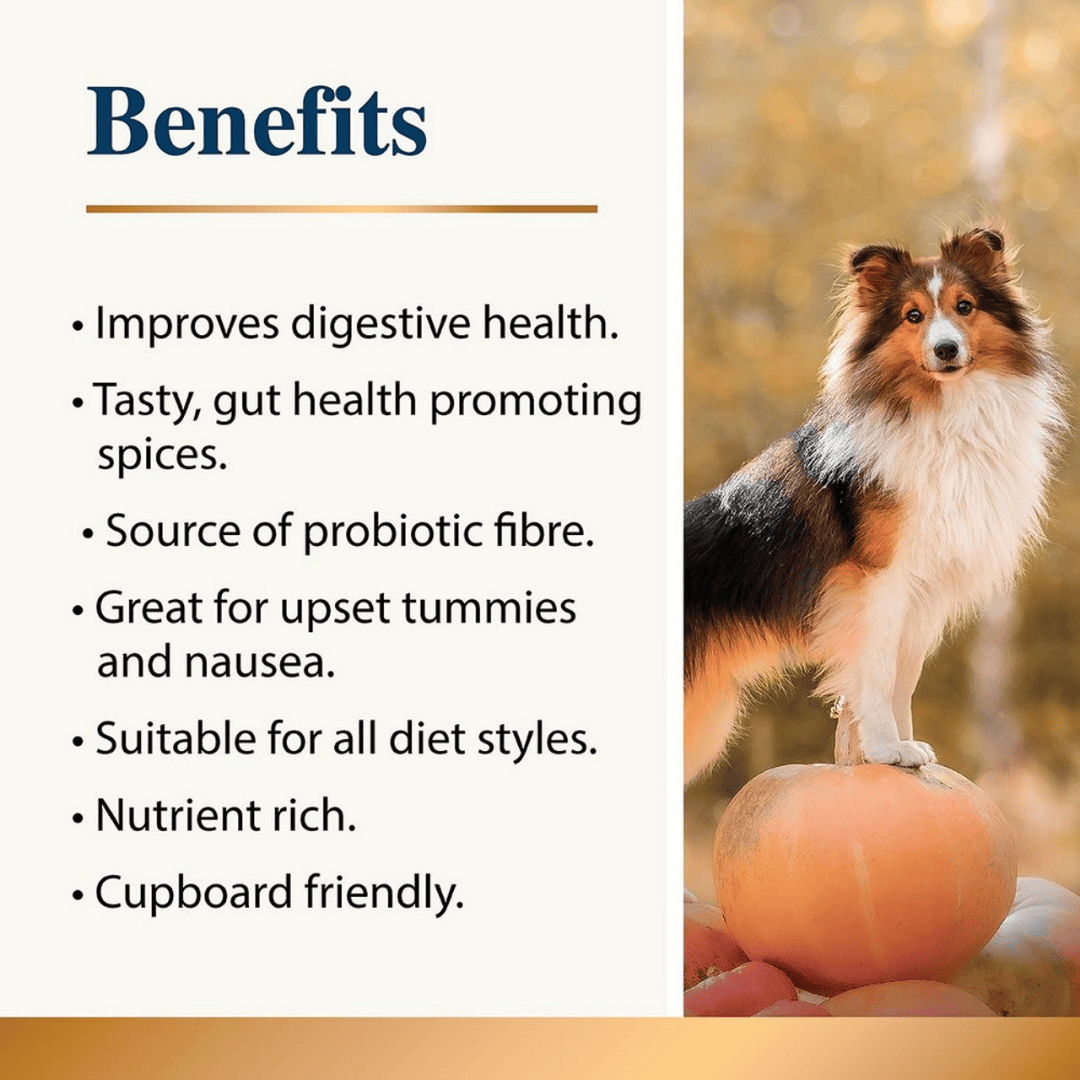 An infographic by Karnlea stating the key benefits of the Karnlea Pumpkin & Spice Powder.