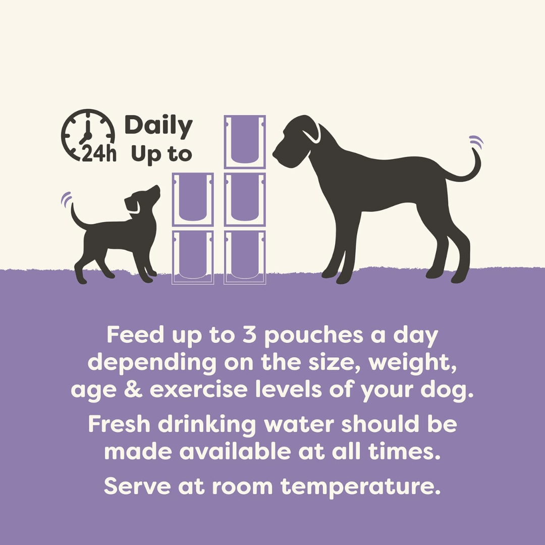 Applaws Dog Taste Toppers in Broth Multipack - Variety Pouches 6 x 85g