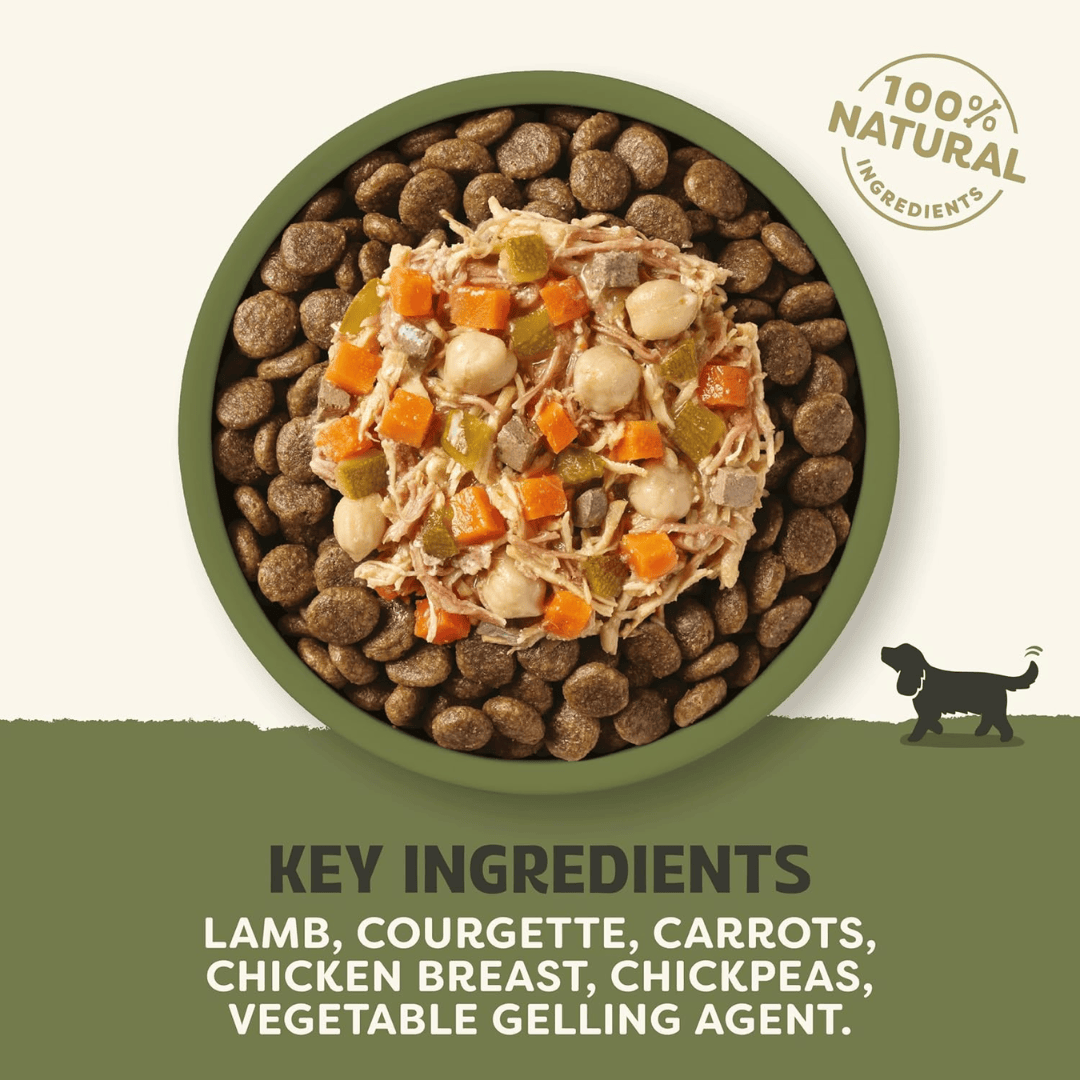 Applaws Dog Taste Toppers in Gravy - Lamb and Veg Pouch