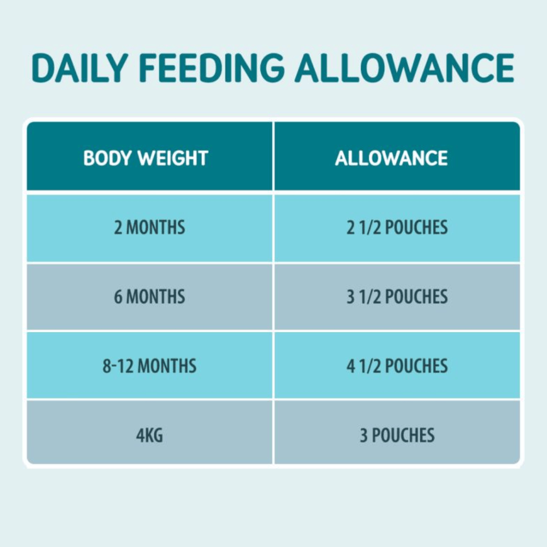 Daily Feeding Allowance