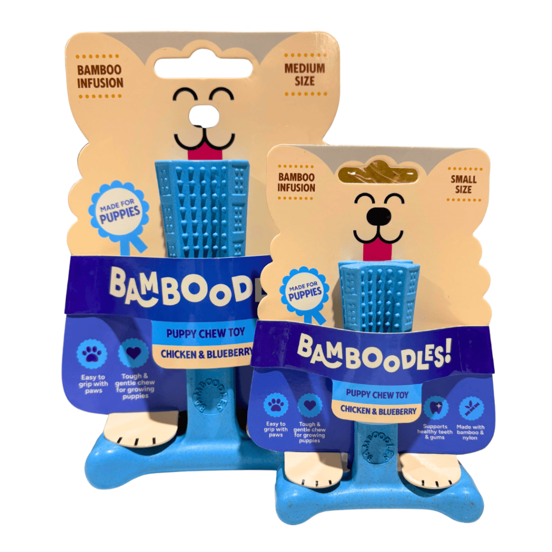 Bamboodles T-Bone Puppy Chew - Chicken & Blueberry