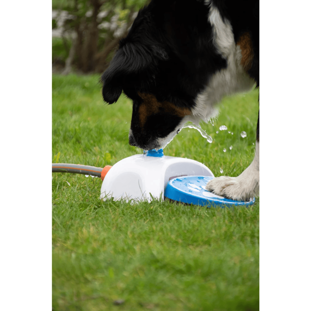 Cool Pets Splash Water Fountain