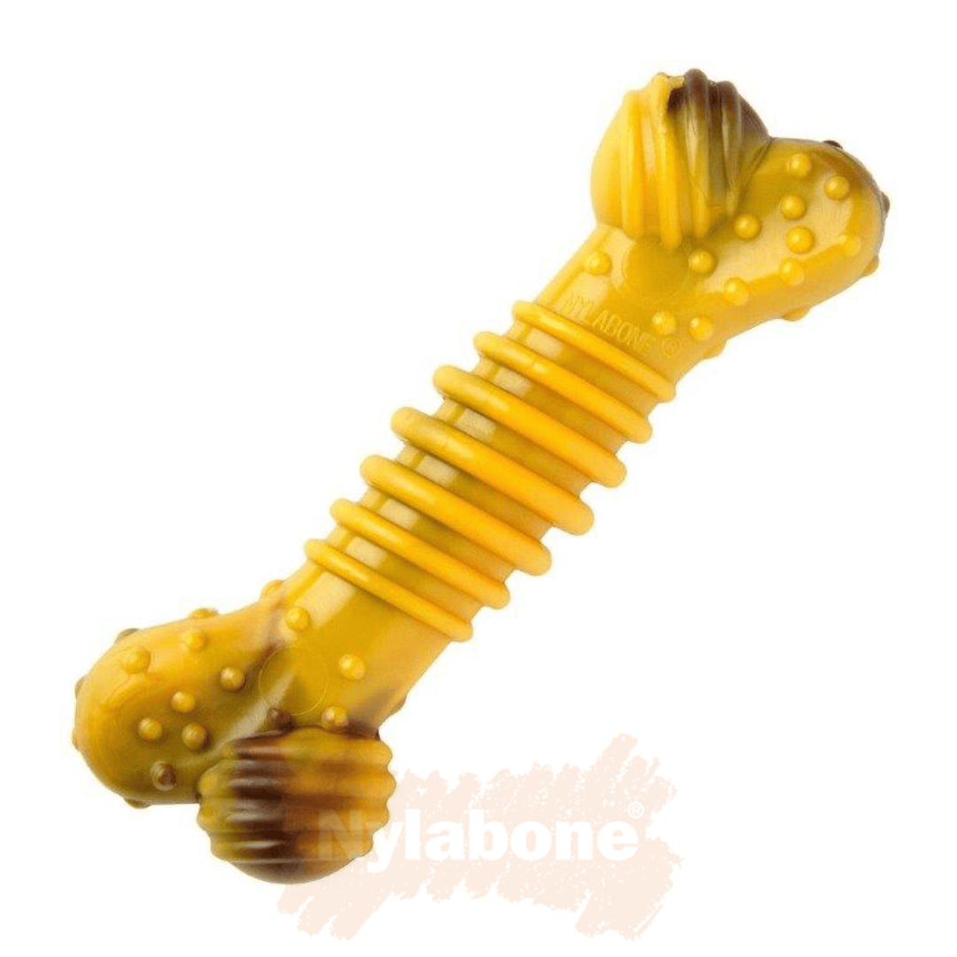 Nylabone Beef & Cheese Extreme Chew Bone size small out of packaging