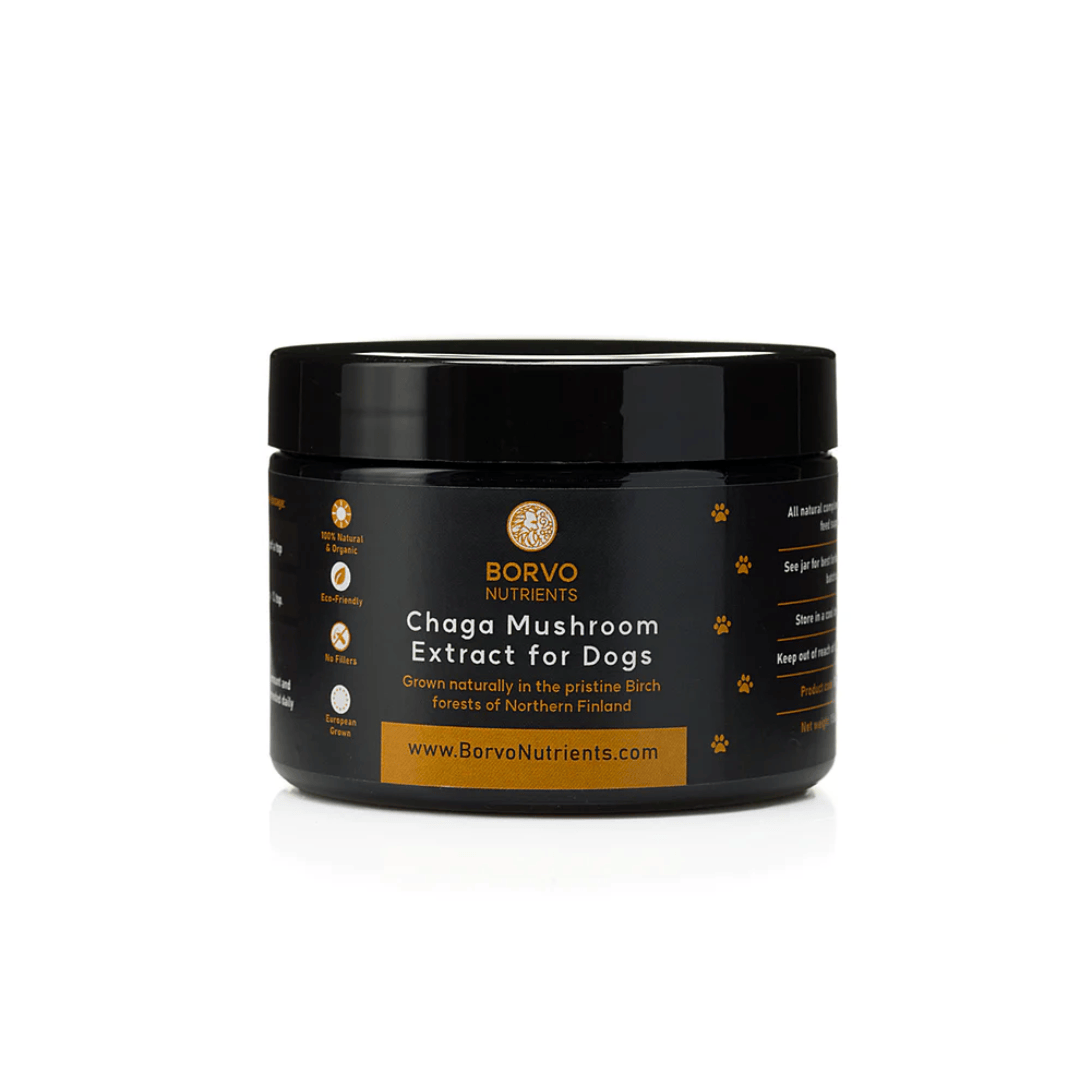 Chaga Mushroom Extract for Dogs - Borvo Nutrients