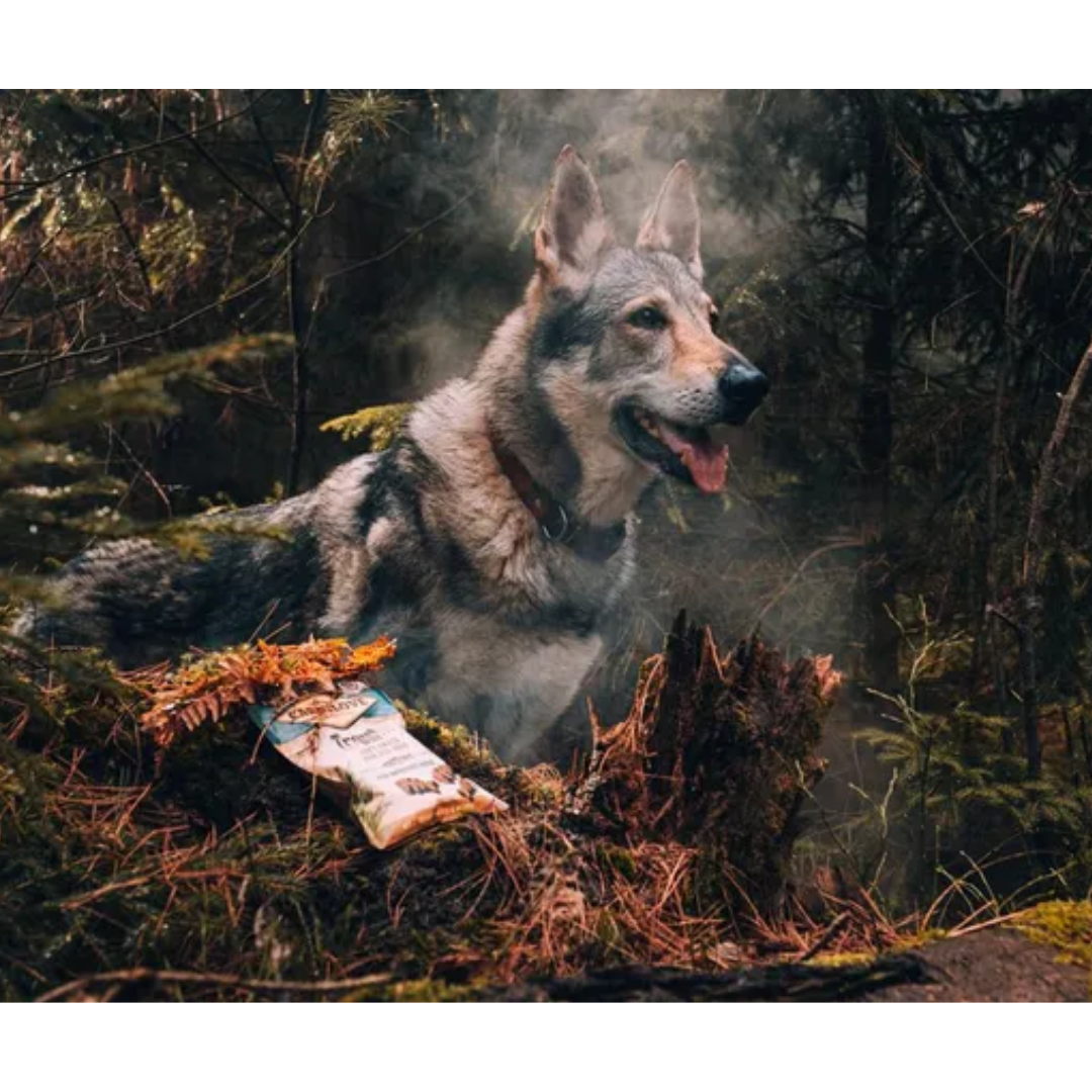 A german shepherd in the forest with a packet of the Carnilove Trout with Dill along side them.