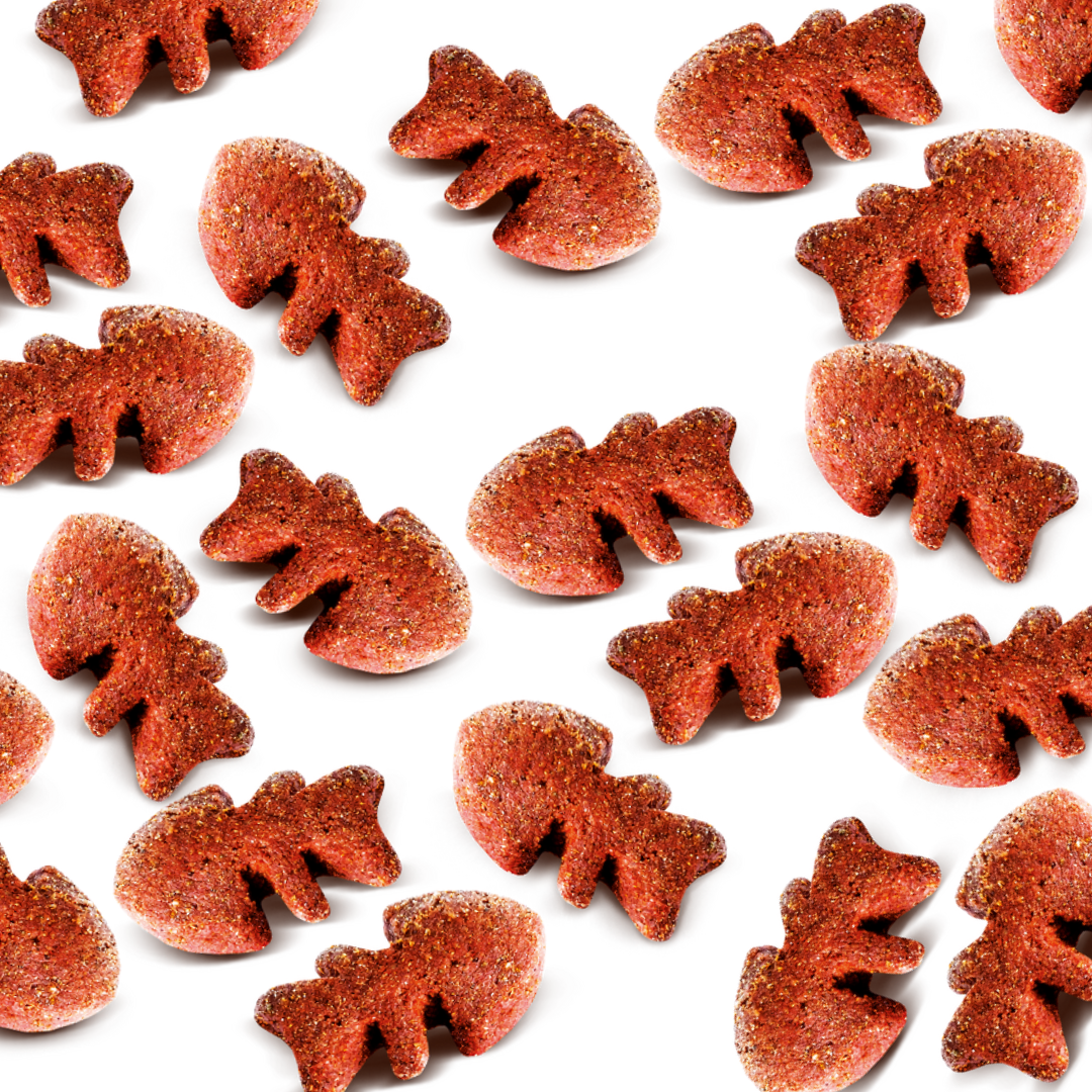 Carnilove Salmon with Mint Cat Treats