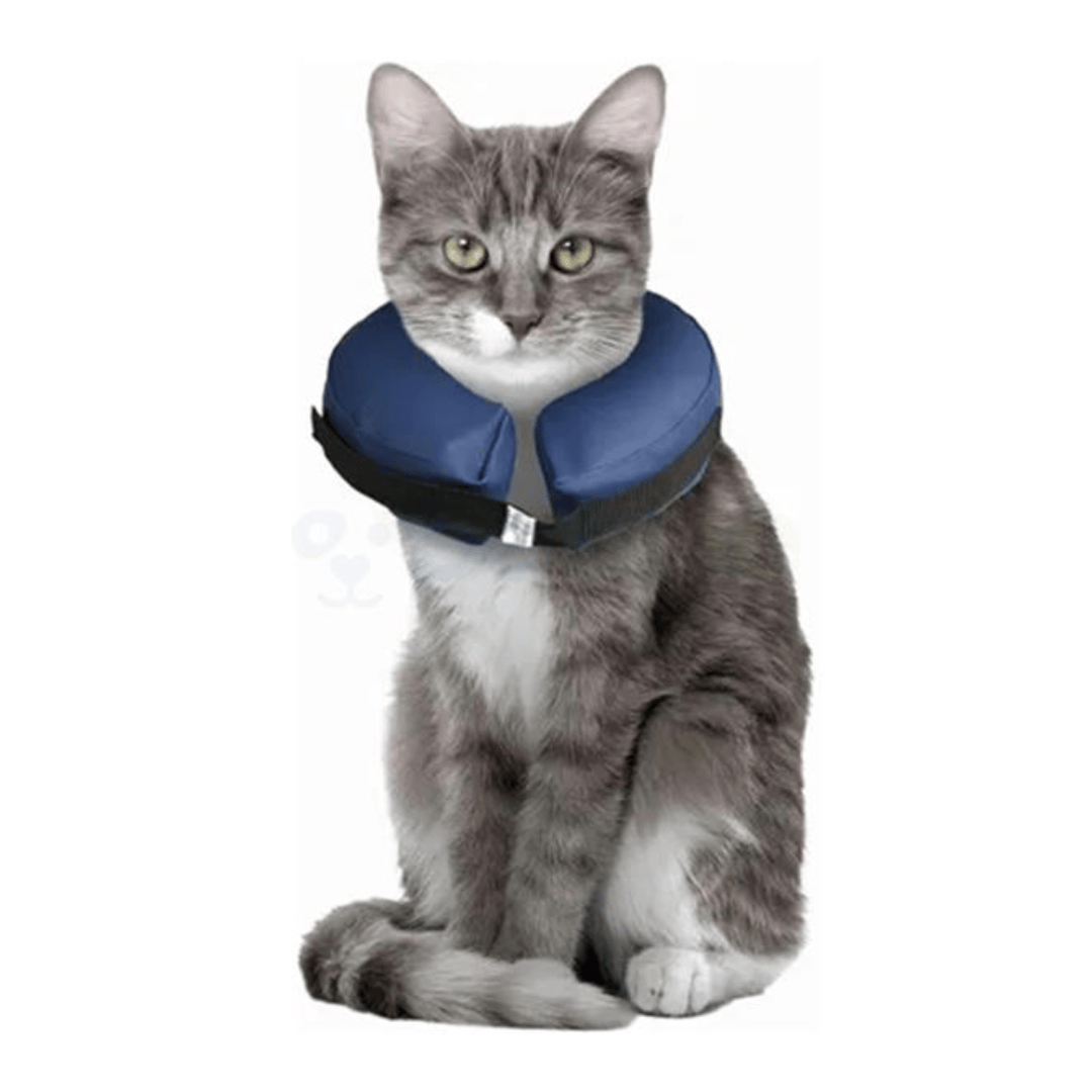 Cat wearing a blue Inflatable neck collar on a white background