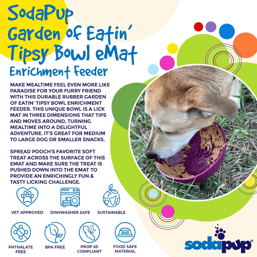 An informative infographic from Sodapup that explains all benefits of the Garden of Eatin' Tipsy Bowl. This includes instructions of use and care instructions.