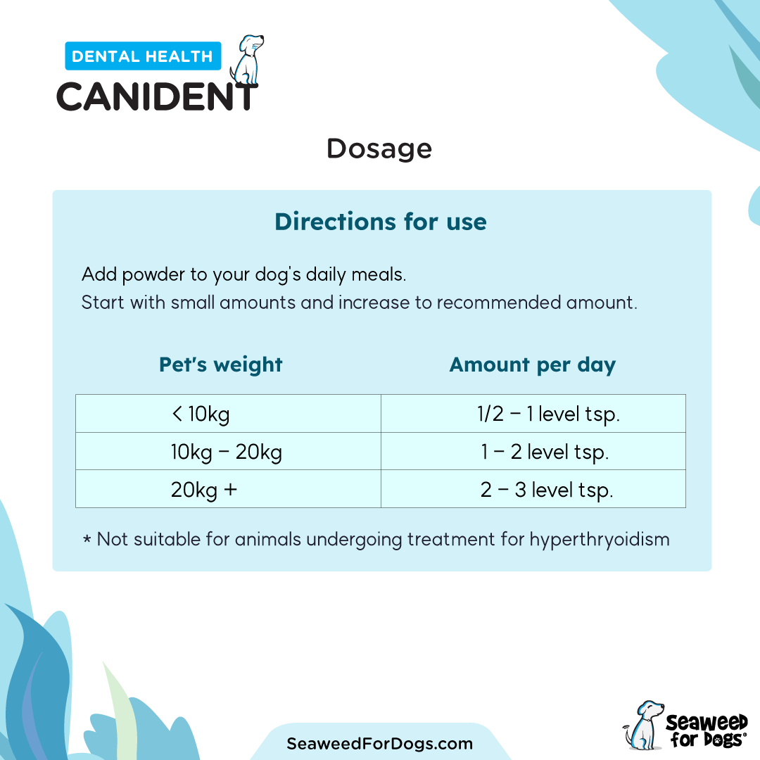 Canident