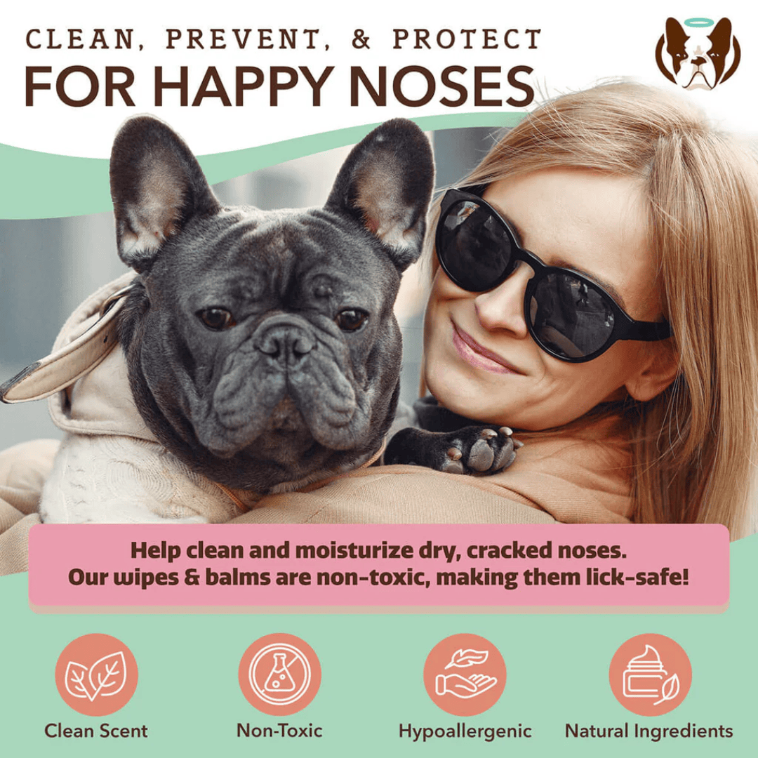 Natural Dog Company Snout Soother Wipes