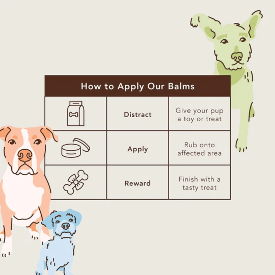 Directions of use for the Snout Soother, how to apply t successfully. Distract - Apply - Reward