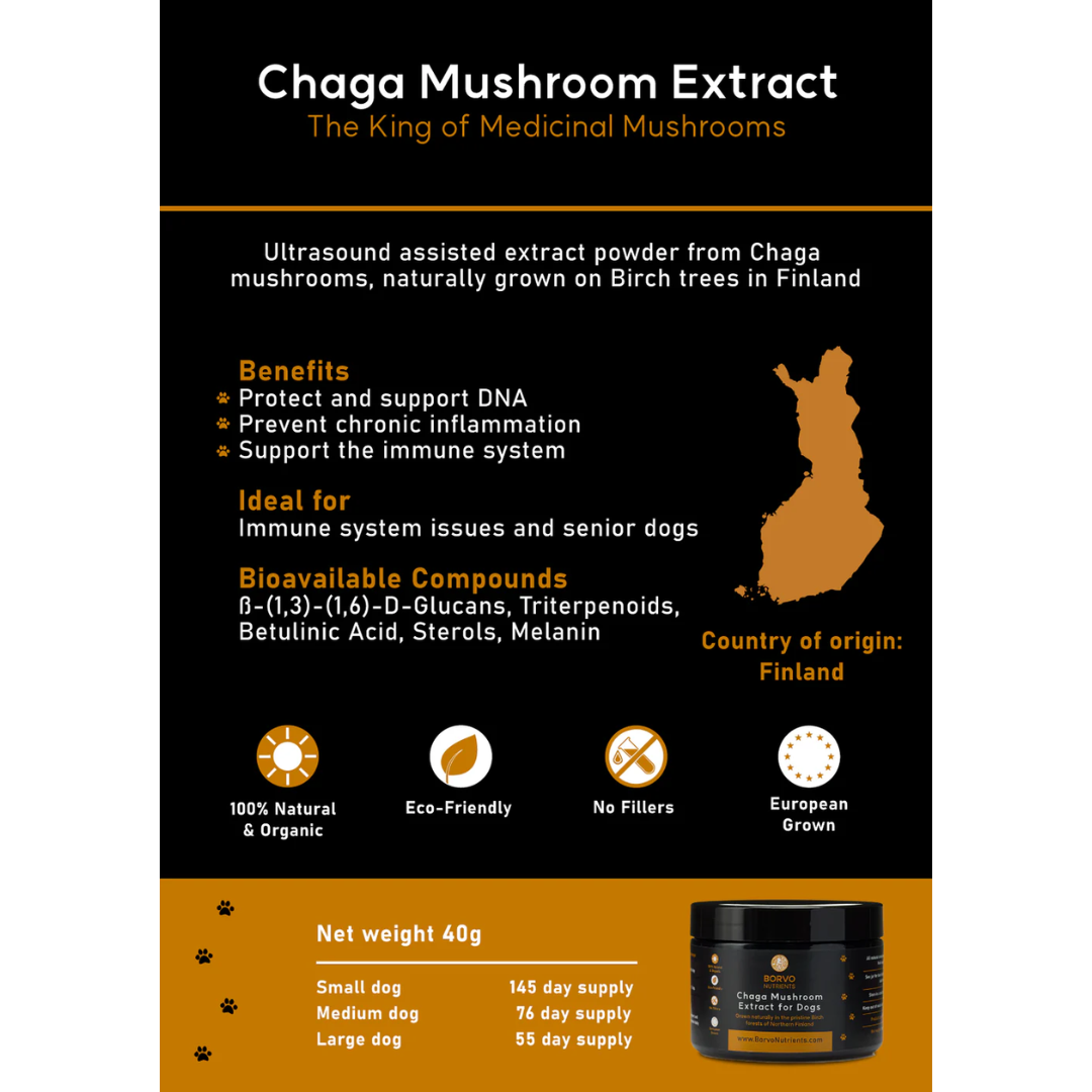 Chaga Mushroom Extract for Dogs - Borvo Nutrients