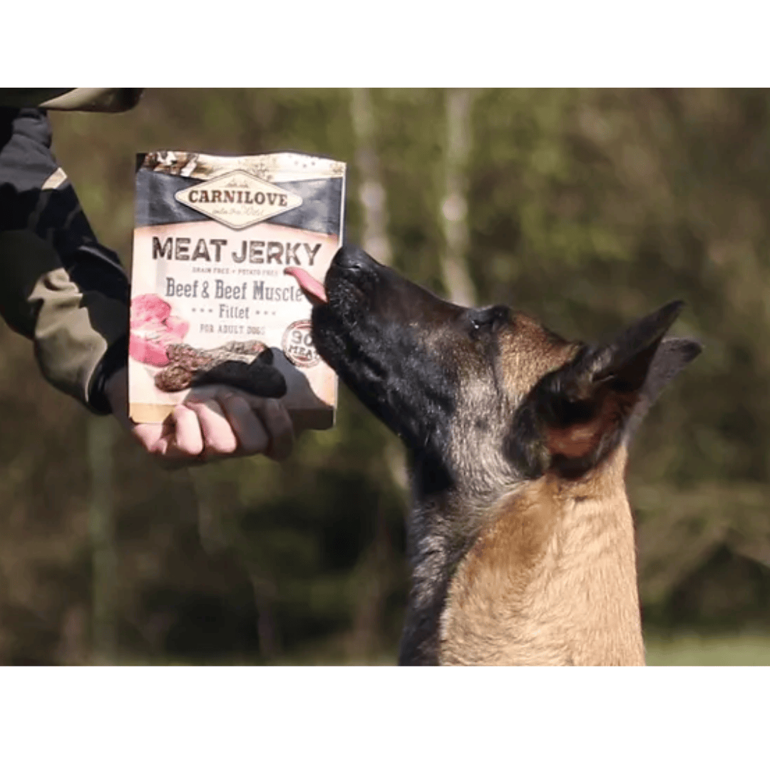 A German Shepherd patiently waiting for for a Carnilove Beef & Beef Muscle jerky treat. They're tongue is out in anticipation. The dog and owner seem to be in a woodland area, as there are trees in the background.