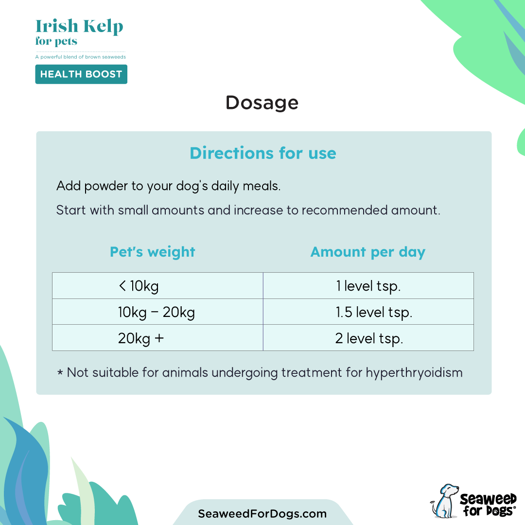 Organic Irish Kelp