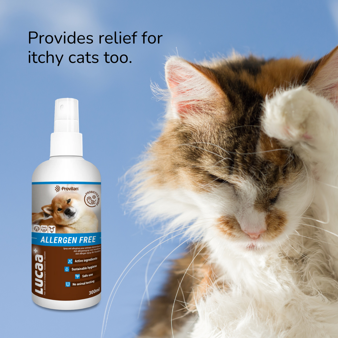 Probiotic Allergen Free Pet Spray | Provilan Lucaa+