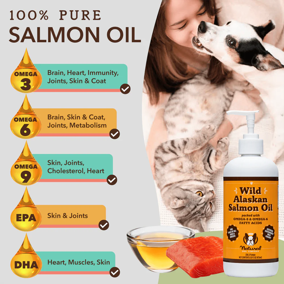 The benefits of salmon oil listed