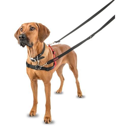 Halti Front Control Harness