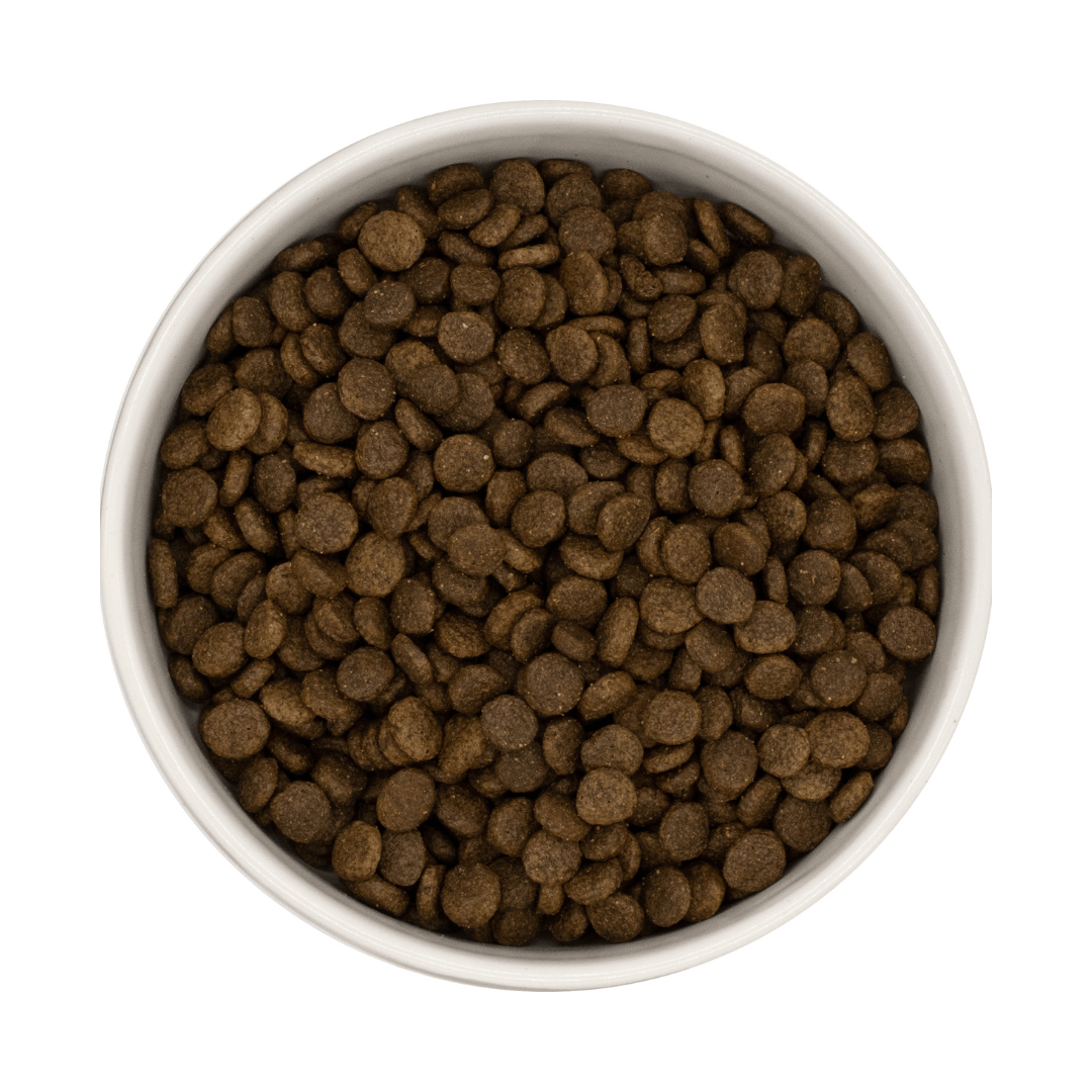 Nourish Rite Premium Adult Small Breed Salmon and Potato