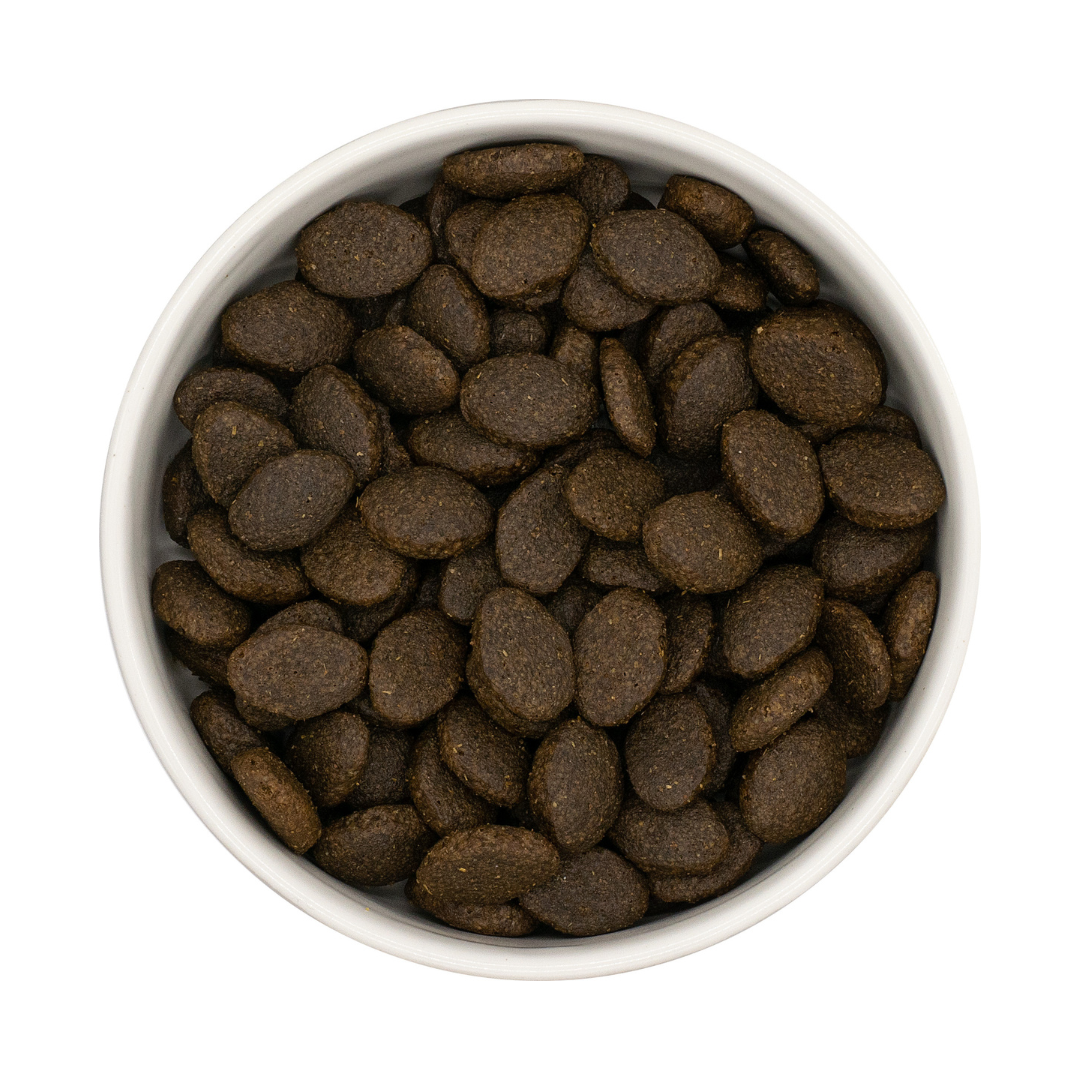 Nourish Rite Premium Puppy Large Breed Salmon