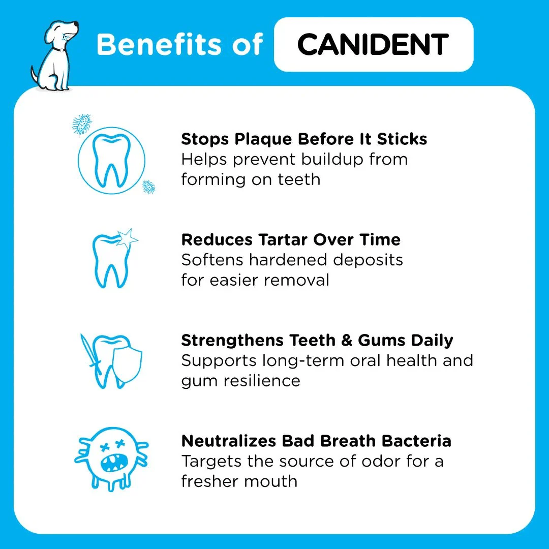 Canident