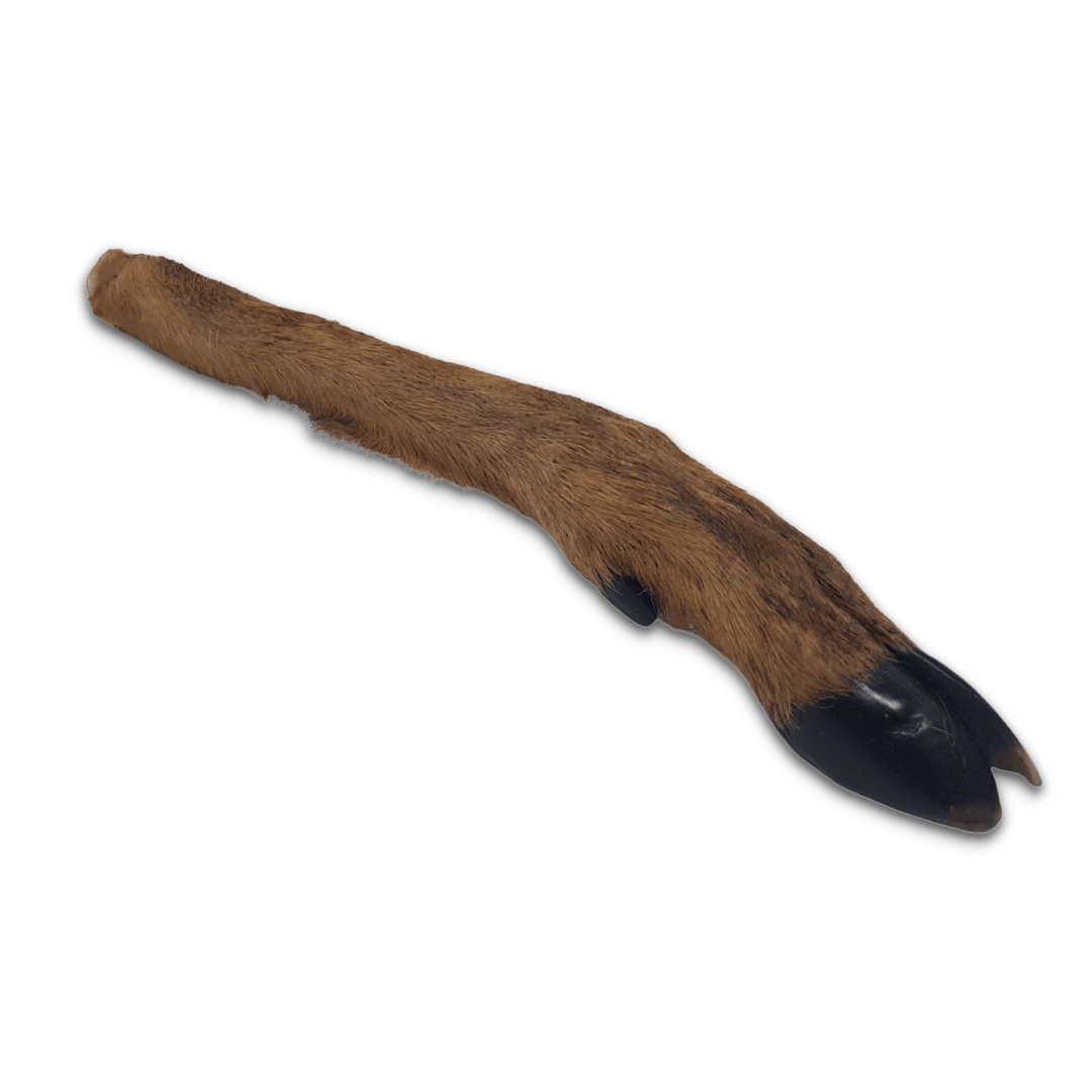 Furry Doe Leg