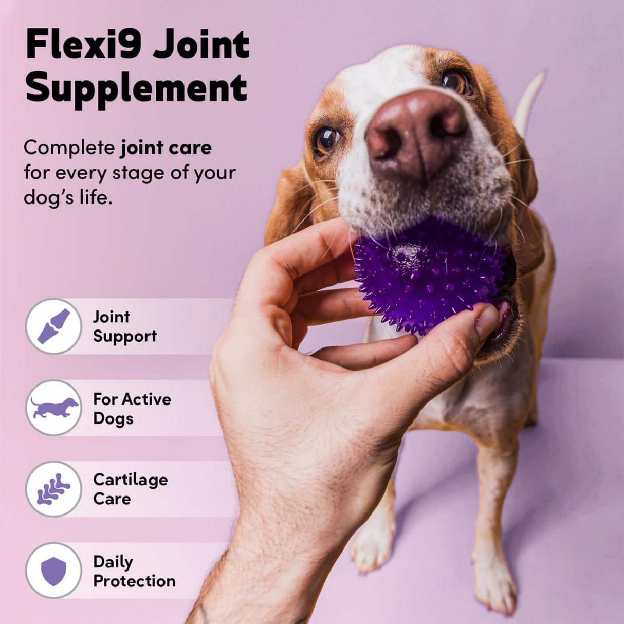 Flexi9 - Joint Plus