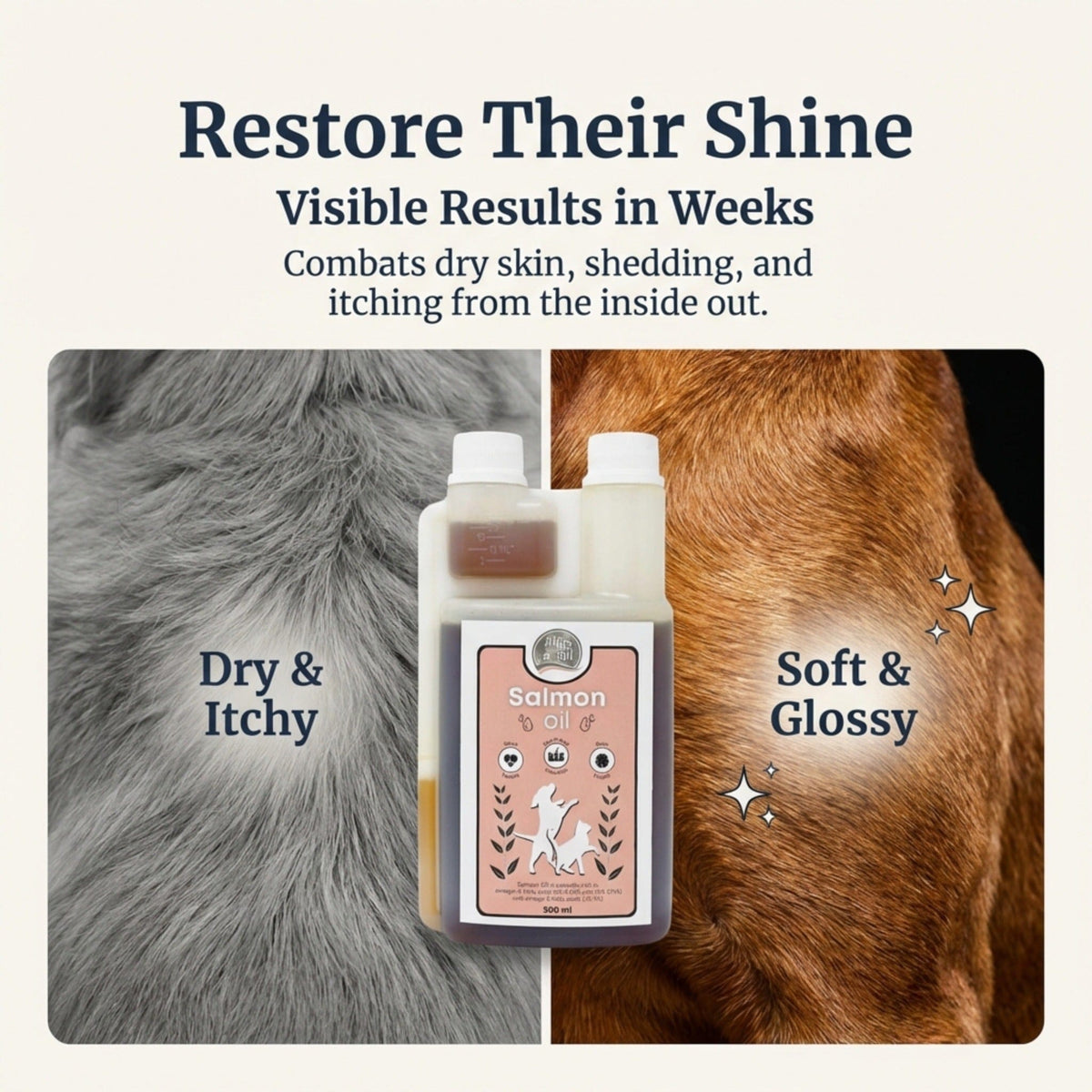 Atlas & Tail Salmon Oil