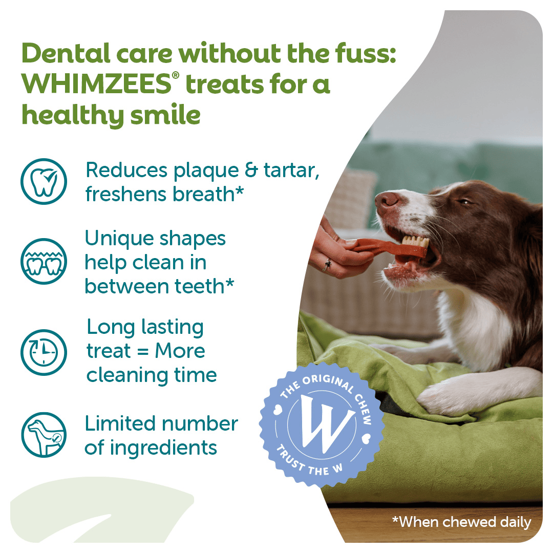 Whimzees Daily Dental Treats Toothbrush 10 Pack - Small Dogs