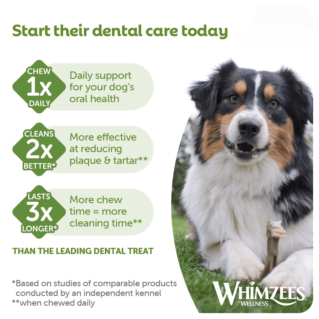 Whimzees Daily Dental Treats Toothbrush 10 Pack - Small Dogs
