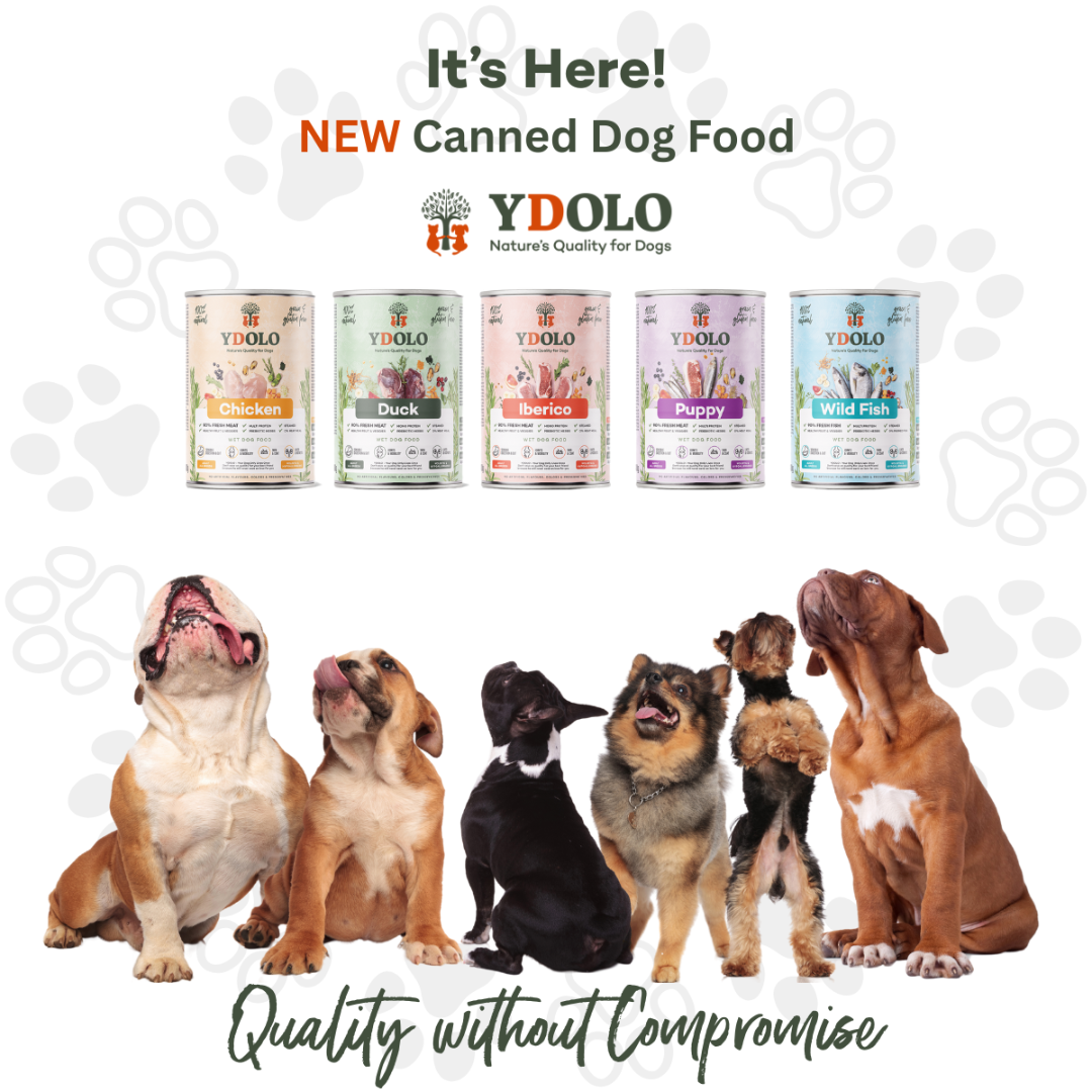 An image by YDOLO showing their new wet food range. There is six different dog breeds looking up at the tins. An image by YDOLO showing their new wet food range.
The tins include chicken, duck, iberico, puppy and wild fish.