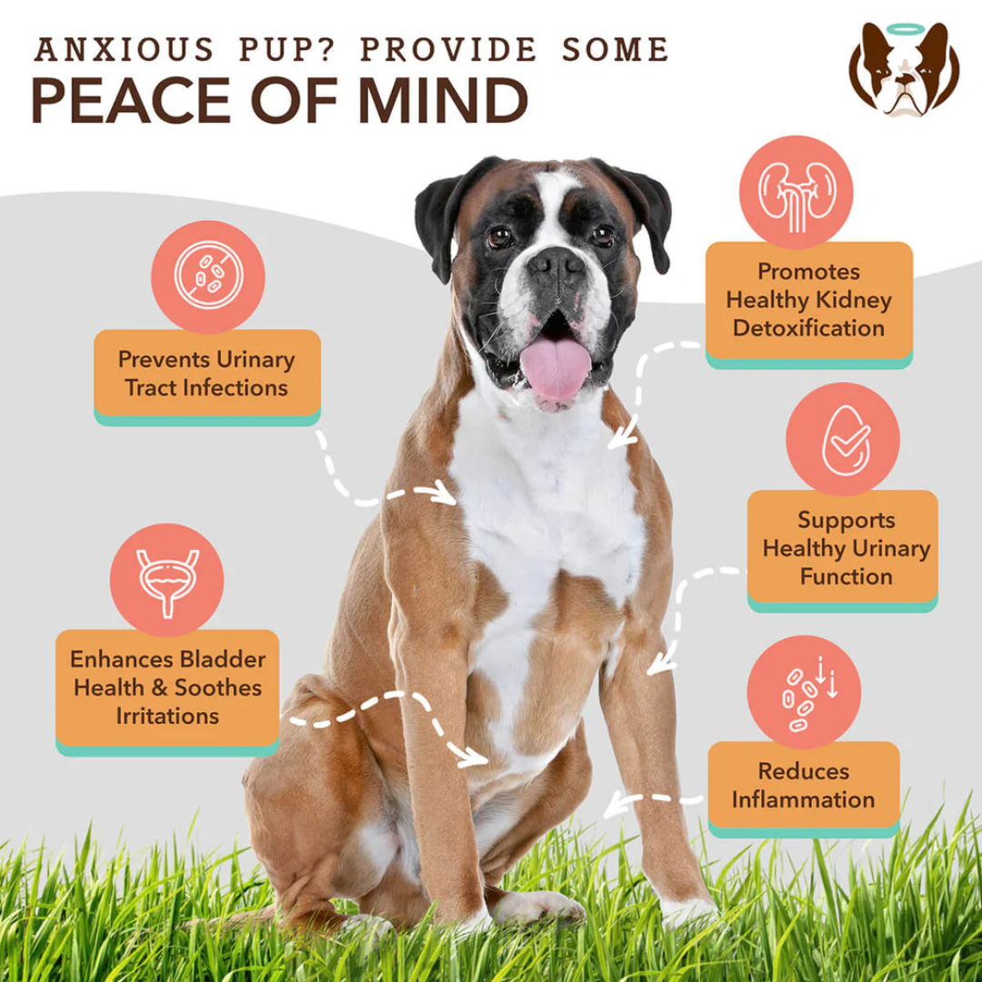 Some key benefits of The Natural Dog Company Urinary and Bladder chews.