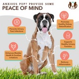 Some key benefits of The Natural Dog Company Urinary and Bladder chews.