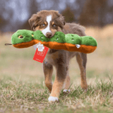 A multi coloured dog standing in a field with the Fluff & Tuff Katie Caterpillar Plush Dog Toy in their mouth. It is green in colour and has colourful stitching all over in all the details. You can see yellow peeking out from the underside.